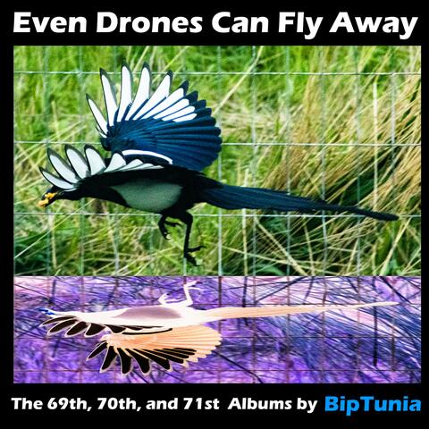 Even Drones Can Fly Away