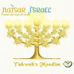 Counting of the Omer