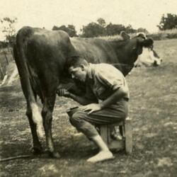 Daddy's Fishin' Poles