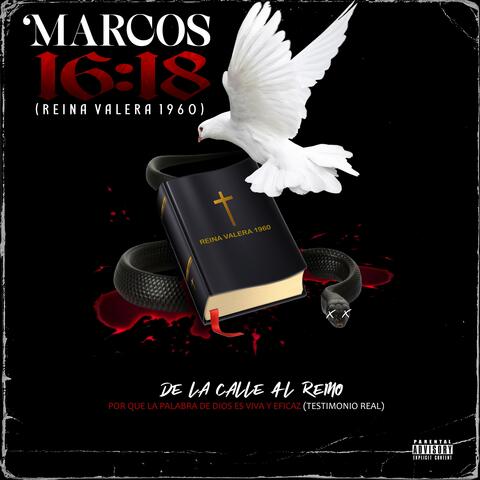 Marcos 16:18