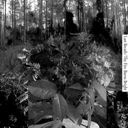 Last Breath/Fire Burns Bright