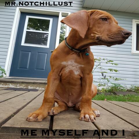 ME MYSELF AND I