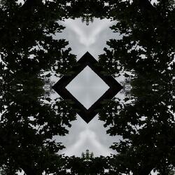 Nine
