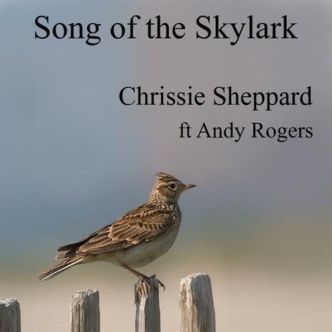 Song of the Skylark