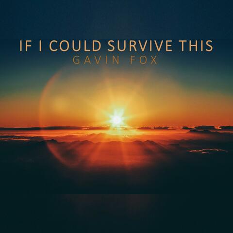 If I Could Survive This