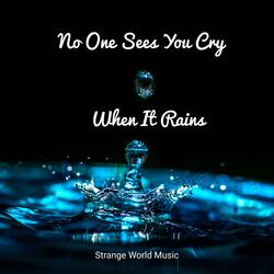 No One Sees You Cry When It Rains (feat. Ethan Z Burch)