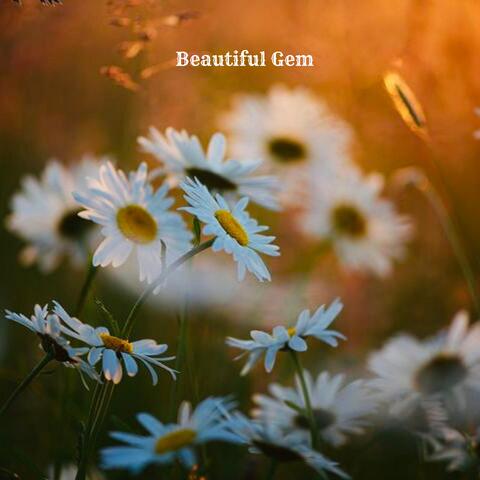 Beautiful Gem