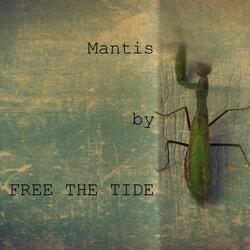 Mantis