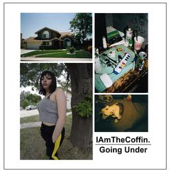 I Didn't Wanna Take The Xanax (But I Did Want To Feel Better) (feat. Going Under)