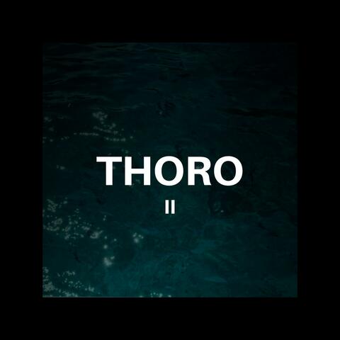 Thoro Pack, Vol. 2