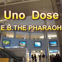 Uno Dose