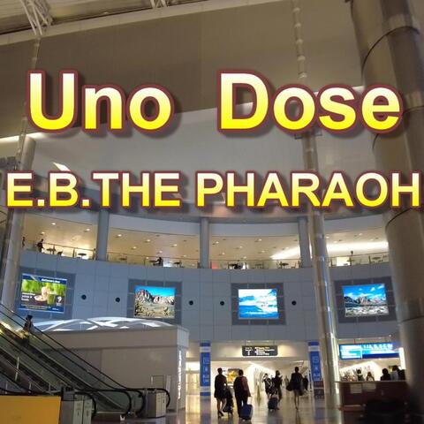Uno Dose