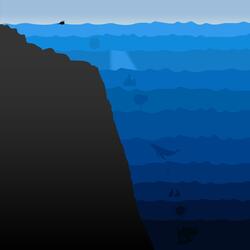 Where the Whales Can Be Found