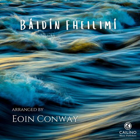 Báidín Fheilimí