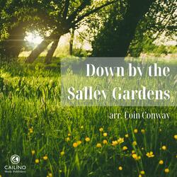 Down by the Salley Gardens