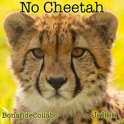 No Cheetah (feat. Julien)