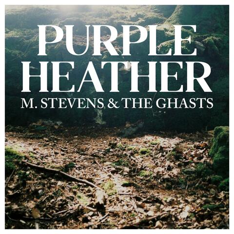Purple Heather