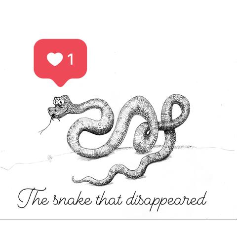 The snake that disappeared