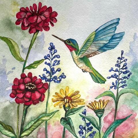 Hummingbird