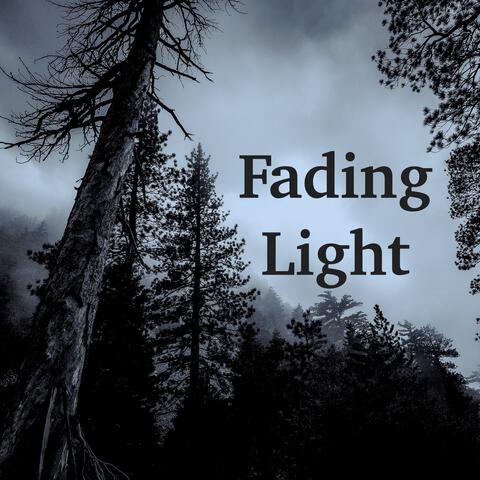 Fading Light