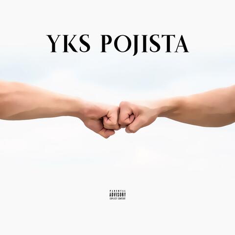 Yks pojista
