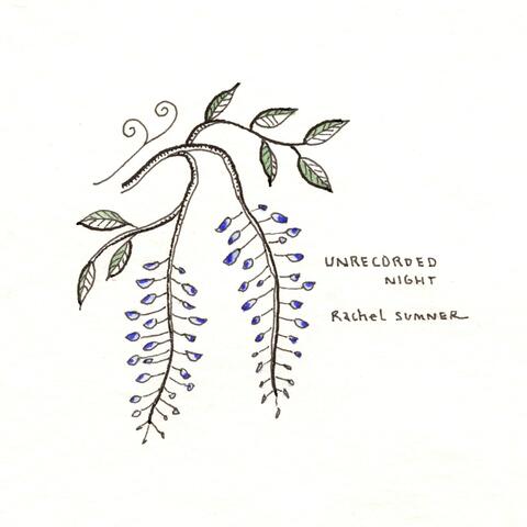 Unrecorded Night