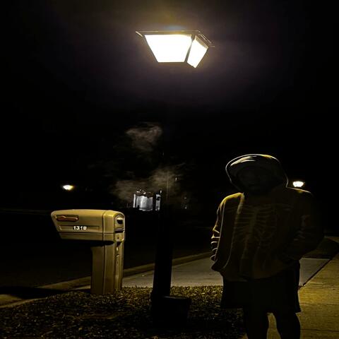 DISTRACTED BY DISTRACTIONS (feat. NAXARITE & SLNDRMANN)