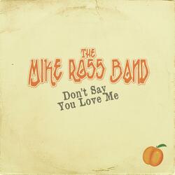 Don't Say You Love Me