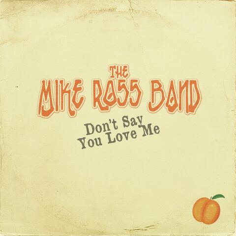 Don't Say You Love Me