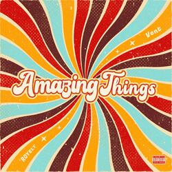 Amazing Things (feat. 'Royelt & Vent)