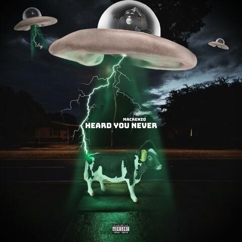 Heard You Never