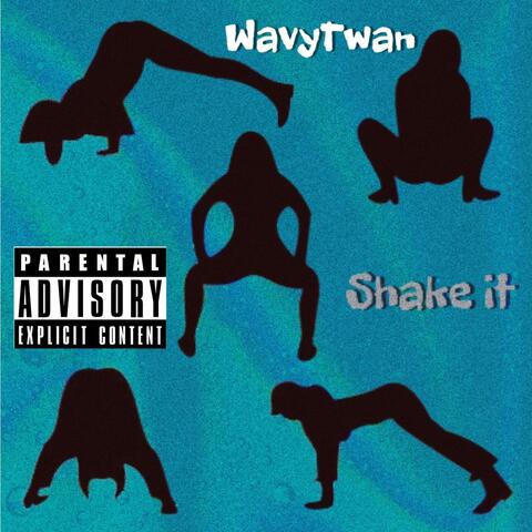 Shake It