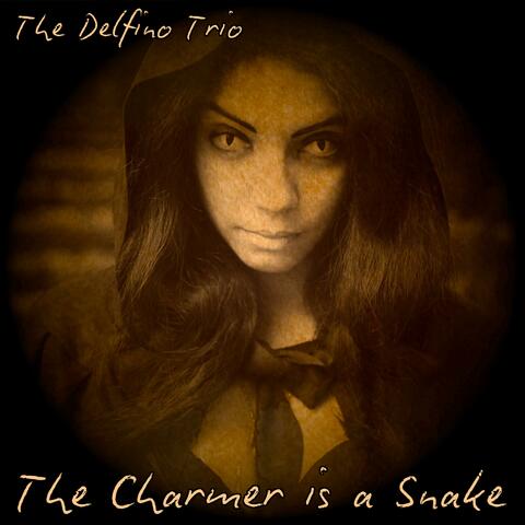The Delfino Trio