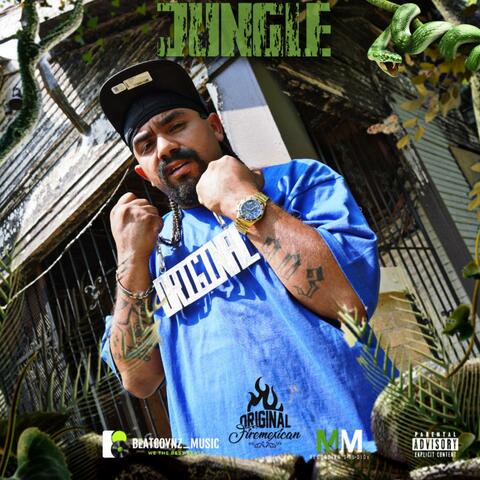 Jungle