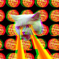 Slinky Malinki Goes To Melbourne