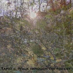 Walk through the Forest