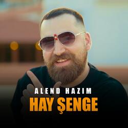 Hay Şenge