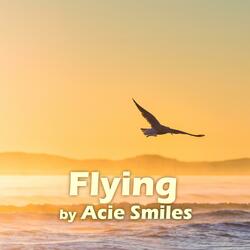 Flying