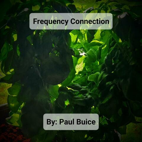 Frequency Connection