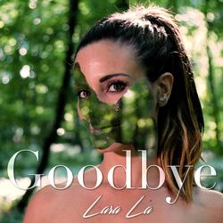 Goodbye
