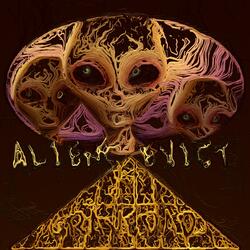 WHO BUILT THE PYRAMIDS