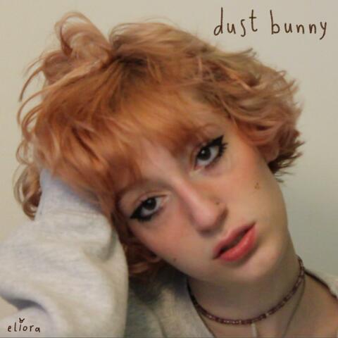 dust bunny