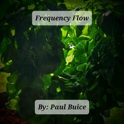 Frequency Flow