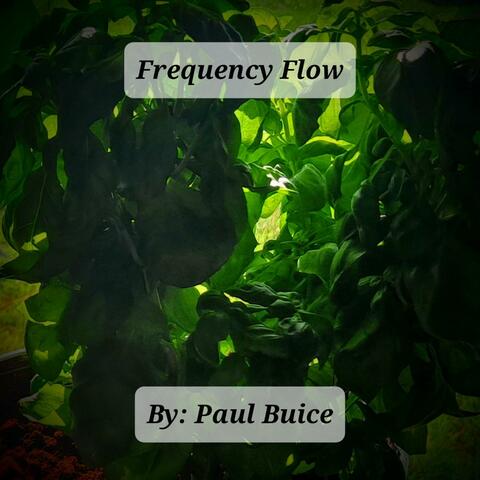 Frequency Flow