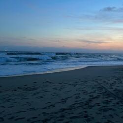 a moment with the waves