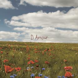 D Amour