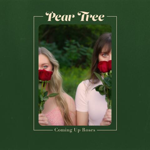 Pear Tree