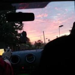 Disorient Skies