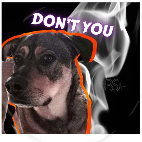 Don't You