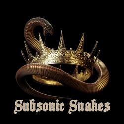 Subsonic Snakes